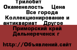 Трилобит Asaphus. Окаменелость. › Цена ­ 300 - Все города Коллекционирование и антиквариат » Другое   . Приморский край,Дальнереченск г.